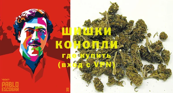 прущие грибы Баксан