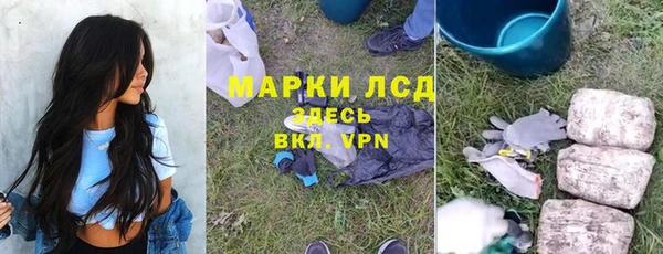 прущие грибы Баксан